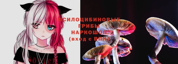альфа пвп Армянск