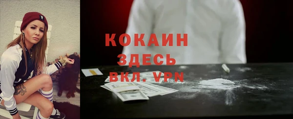трава Аркадак