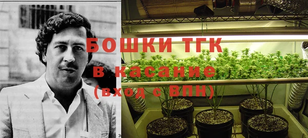 прущие крисы Арсеньев