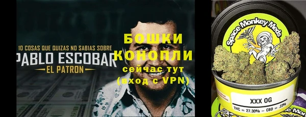 трава Аркадак