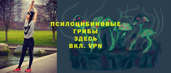 прущие крисы Арсеньев