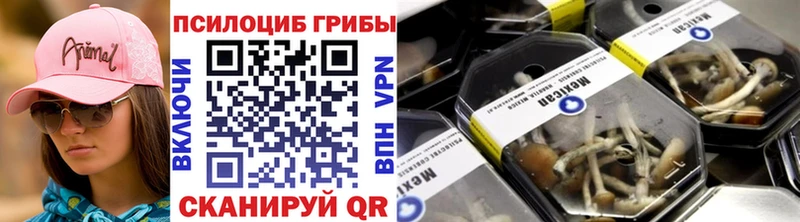 дарнет шоп  Фатеж  Галлюциногенные грибы Cubensis 